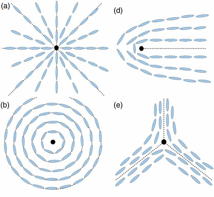 nematic liquid crystal topological defects